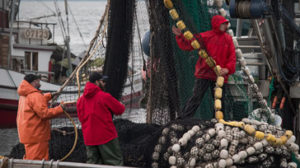 pesca